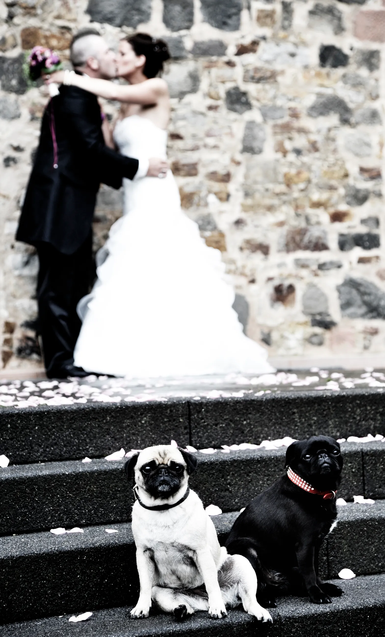 Hochzeit Fotografie Hamburg