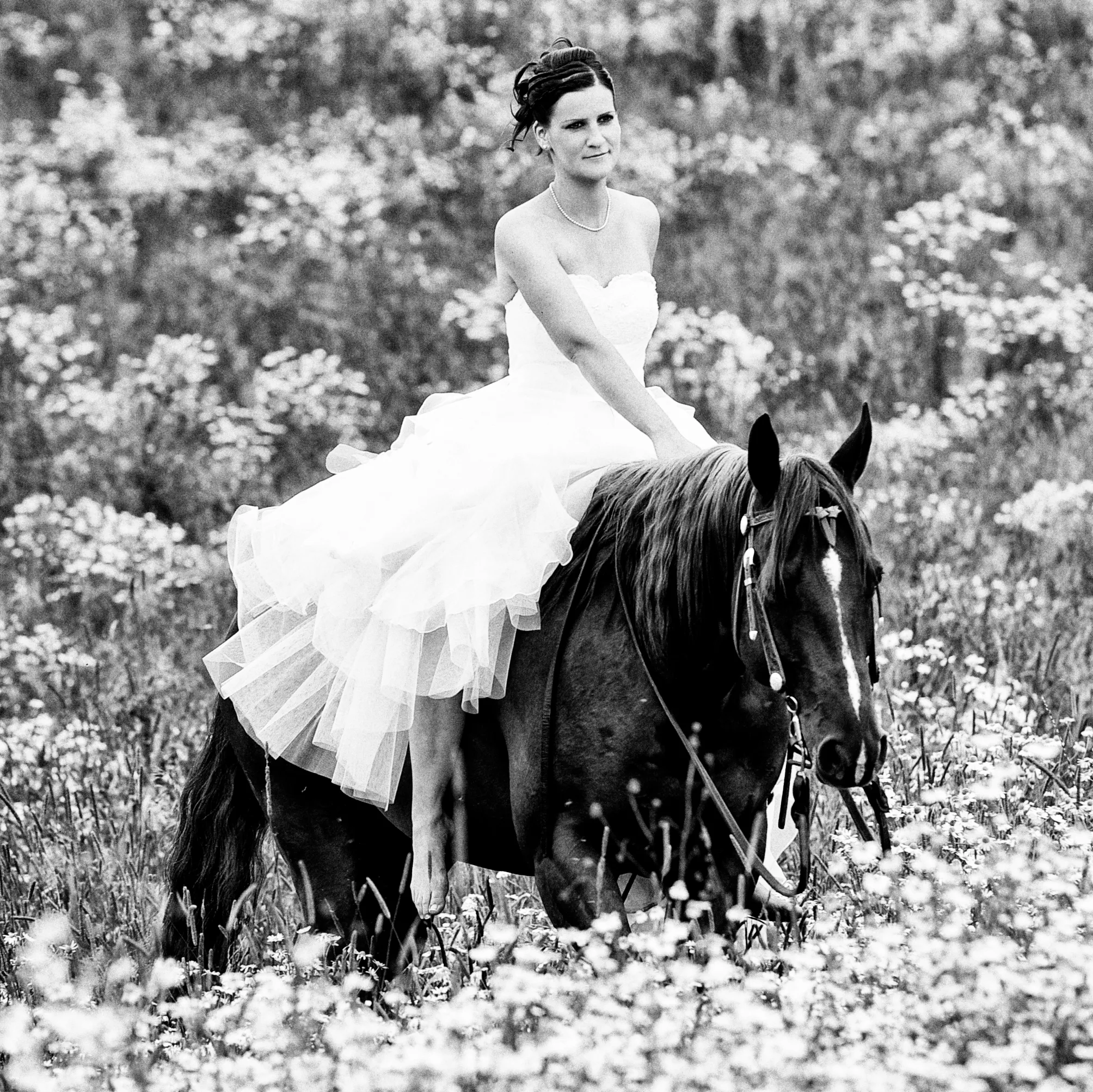 Hochzeit Fotografie Hamburg